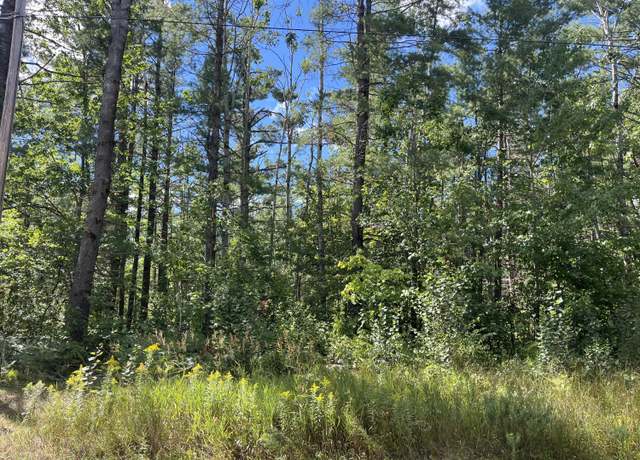 Property at V/L .37 ac Dorothy Dr, Gaylord, MI 49735