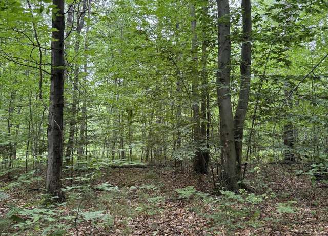 Property at VL Wilson Rd, Moorestown, MI 49651