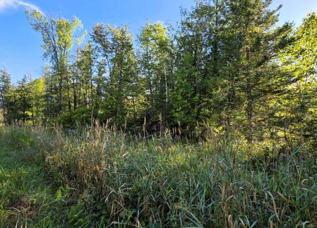 Property at V/L 68AC Salina Rd, Lachine, MI 49753
