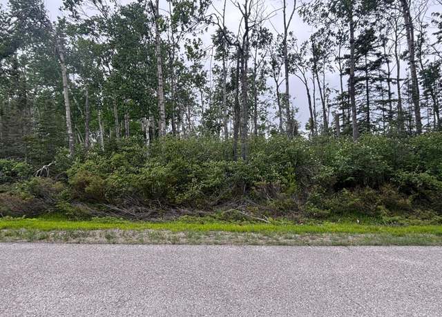 Property at Lot 92 Pine St, Presque Isle, MI 49777