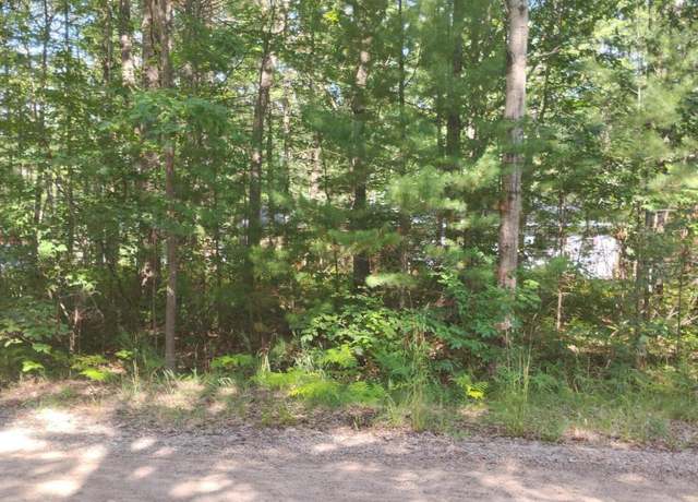 Property at V/L .33AC W Ausable Rd, Roscommon, MI 48653