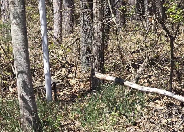 Property at 951 10th St Unit 45 Acres, Sears, MI 49679