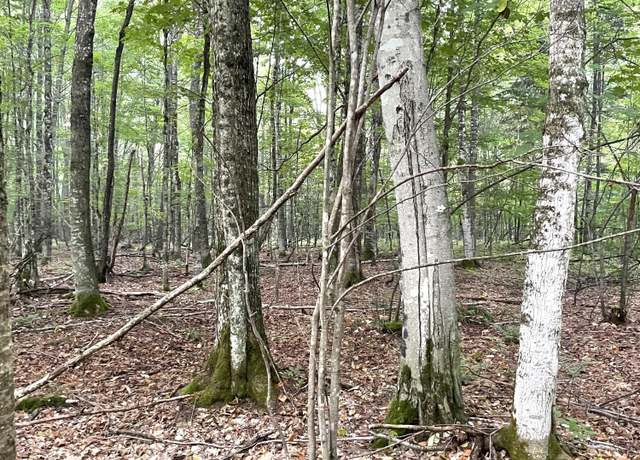 Property at Osborn Dr, Mcmillan, MI 49853
