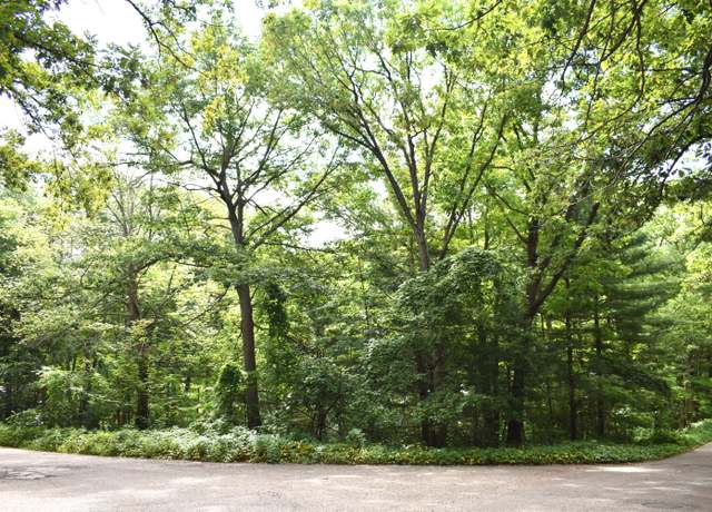 Property at V/L .85AC Lone Pine Rd, Harrison, MI 48625
