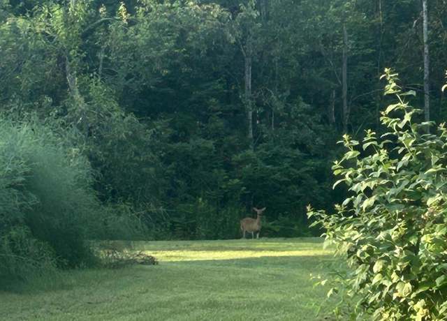 Property at Mielke Rd, Hawks, MI 49743