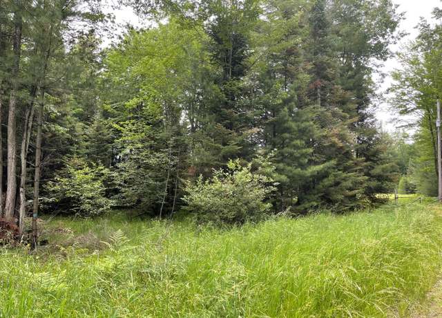 Property at Lot 175 Nestle Rd, Prudenville, MI 48651