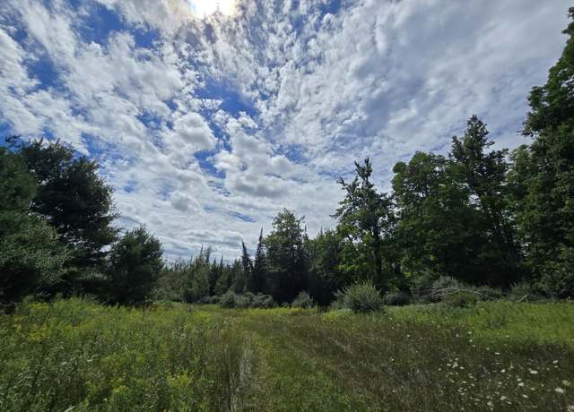 Property at 234 Schmid Rd, Fairview, MI 48621