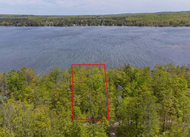 Property at 10448 W Munro Lake Dr, Levering, MI 49755