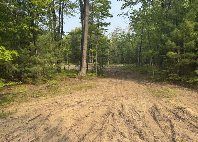 Property at Lot #20 Indian Oaks, Prudenville, MI 48651