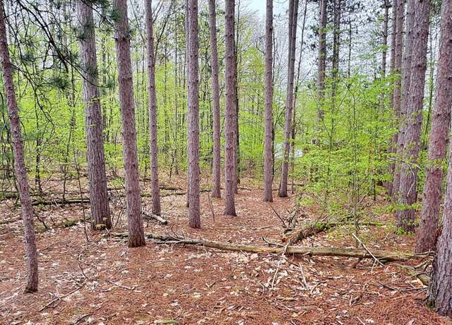 Property at 000 Del Mason Rd, Bellaire, MI 49615