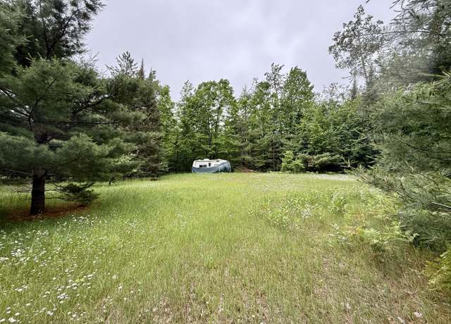 Property at 16444 Cricket Trl, Wolverine, MI 49799