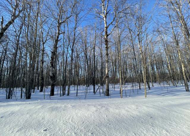 Property at LOT 46 Louise Dr, Elmira, MI 49730