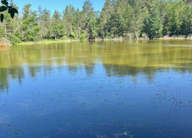 Property at 27.7 AC Damrose Dr, Atlanta, MI 49709