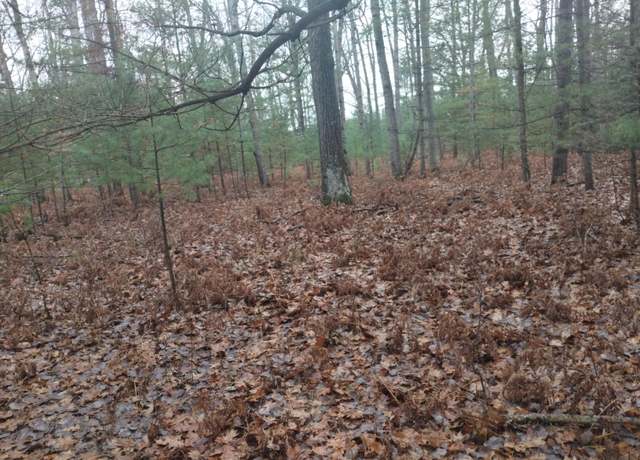 Property at 254 Ponderosa Dr, Lachine, MI 49753
