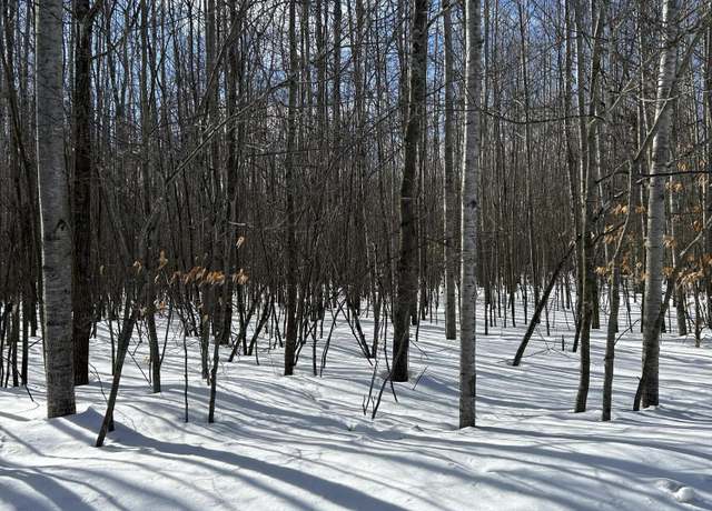 Property at Parcel A Woodmansee Rd, Cheboygan, MI 49721