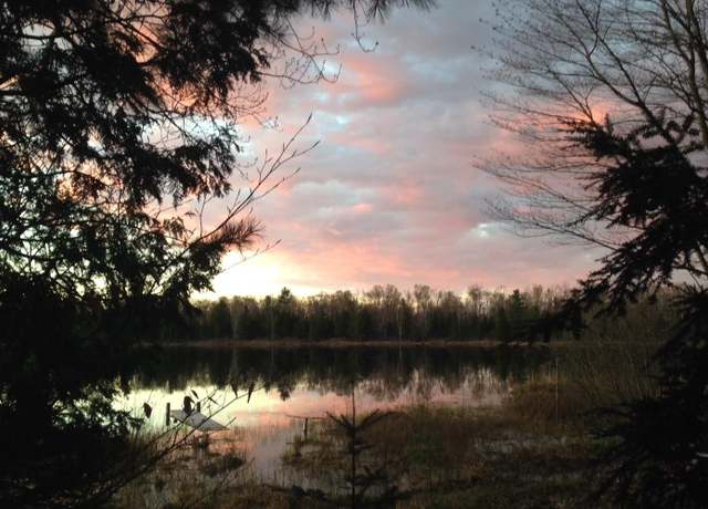 Property at 4550 E Simmons Rd, Hessel, MI 49745, 1 bed, 1.5 baths