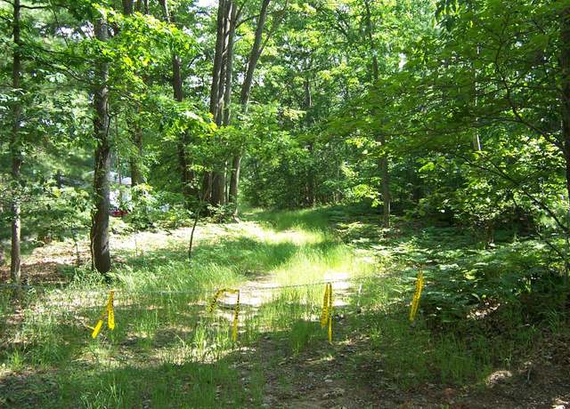 Property at 5 Acres W Birch Rd, Roscommon, MI 48653