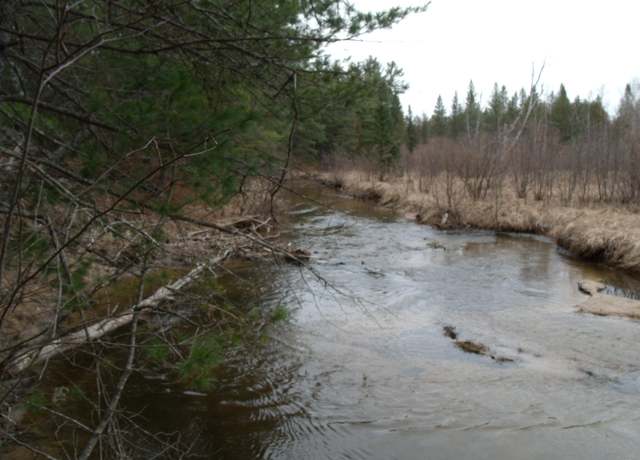 Property at Spikehorn Trl Unit Parcel 17, Indian River, MI 49749