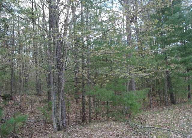 Property at 6845 Sequoia Dr Unit 9, Indian River, MI 49749