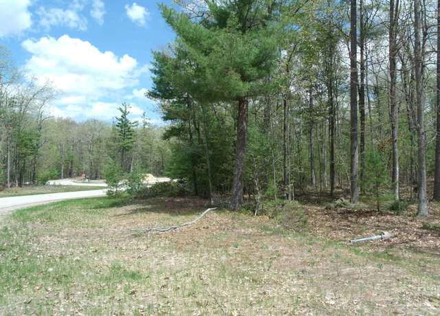 Property at Wintree Dr Unit 6, Indian River, MI 49749