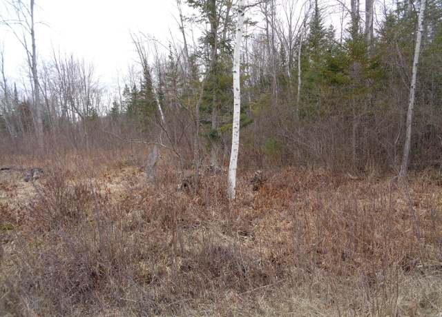 Property at 128 Custer Rd, Alpena, MI 49707