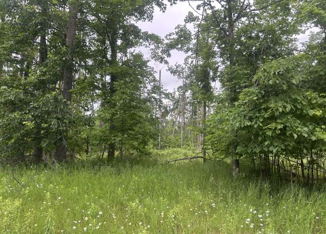 Property at V/L Wheeler Rd, Johannesburg, MI 49751