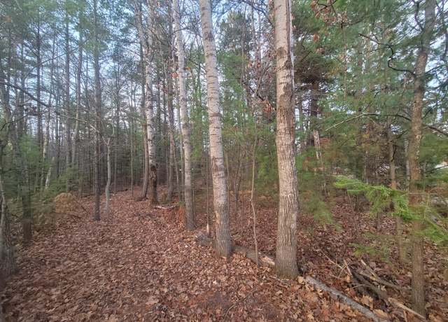 Property at V/L County Rd 487 Unit .9 acre, Atlanta, MI 49709