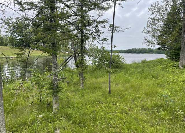 Property at 3472 High Point Ct, Wolverine, MI 49799