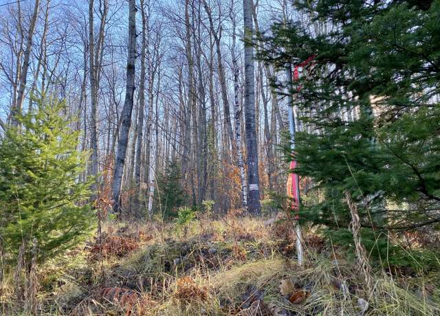 Property at Lots 36-39 Chemin De La Montagne, Wolverine, MI 49799