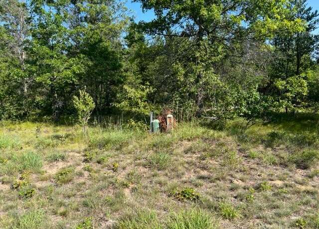 Property at Lot 19 Northwood Dr, Grayling, MI 49738