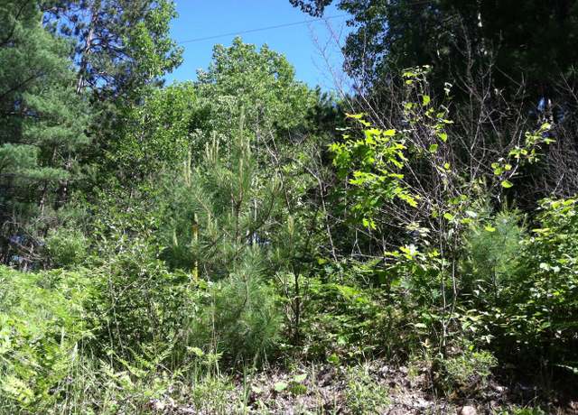Property at Forest Hills Dr Unit Parcel M, Spruce, MI 48762
