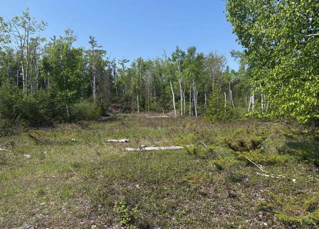 Property at Lot 306 Bay Shore Dr, Presque Isle, MI 49777