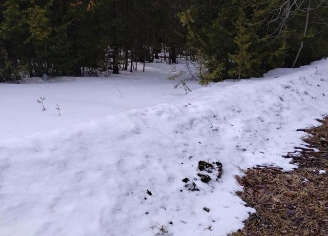 Property at Lot 159 W Renwick Cir, Presque Isle, MI 49777