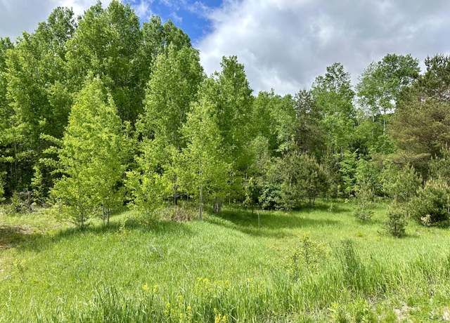 Property at Lot 63&64 Golfview, Gaylord, MI 49735