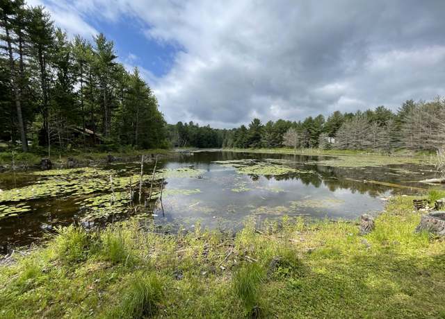Property at Shiawassee Trl, Gaylord, MI 49735