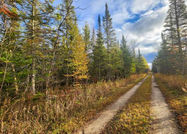 Property at 000 Douglas Rd, Cheboygan, MI 49721