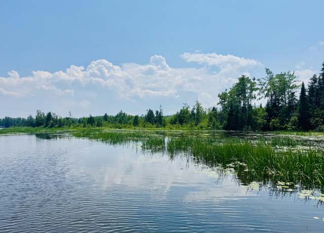 Property at Macey Ln, Alpena, MI 49707