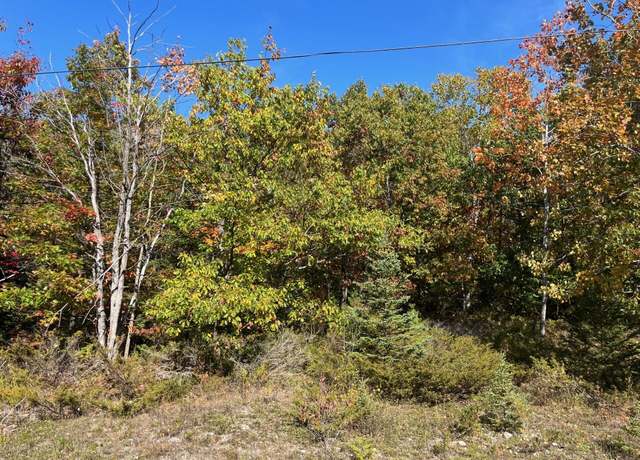 Property at Highland Pines Rd, Presque Isle, MI 49777