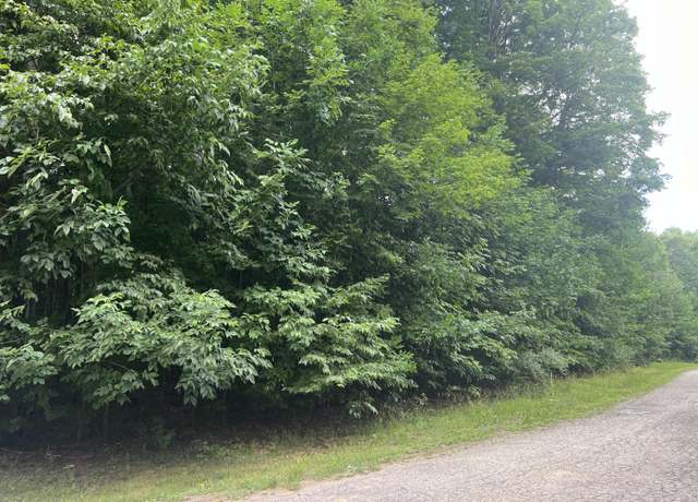Property at Spring Velvet Ct, Grayling, MI 49738