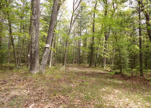 Property at Lot 10 Club Rd, St. Helen, MI 48656