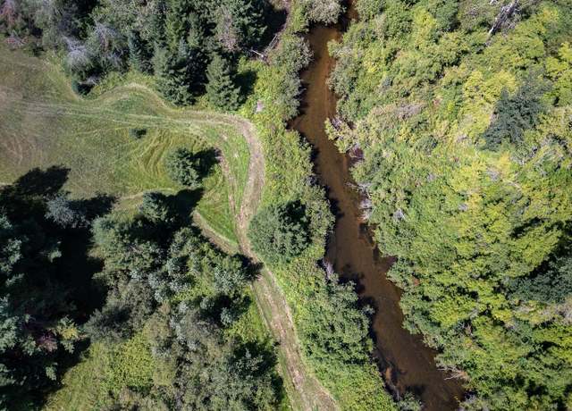 Property at V/L 10AC Trowbridge Rd, Wolverine, MI 49799