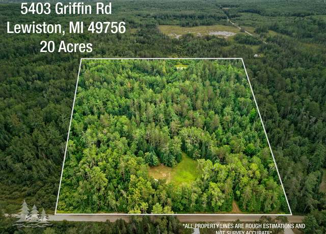 Property at 5403 Griffin Rd, Lewiston, MI 49756
