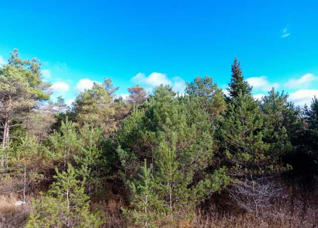 Property at N Black River Rd, Cheboygan, MI 49721
