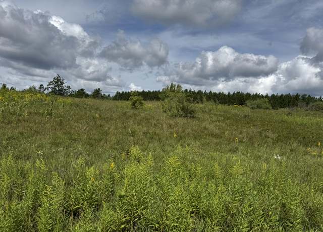 Property at V/L13.25AC Co Rd 612 & Ann Arbor Rd, Lewiston, MI 49756