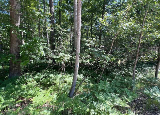 Property at Lot 37-39 Pingree St, Roscommon, MI 48653