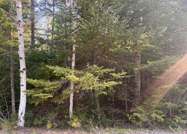 Property at Lot 202 Sunaqua Dr, Presque Isle, MI 49777