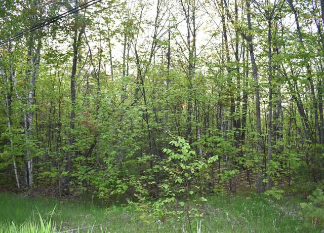 Property at 14236 Straitsview Dr, Cheboygan, MI 49721