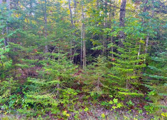 Property at Renwick Cir Lot 66 & 67, Presque Isle, MI 49777