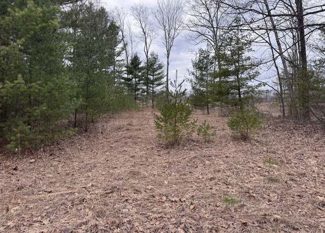Property at LOT#26 Mt. Maria, Hubbard Lake, MI 49747
