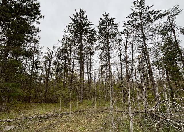 Property at Parcel B County Rd #612, Lewiston, MI 49756